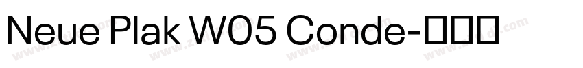 Neue Plak W05 Conde字体转换